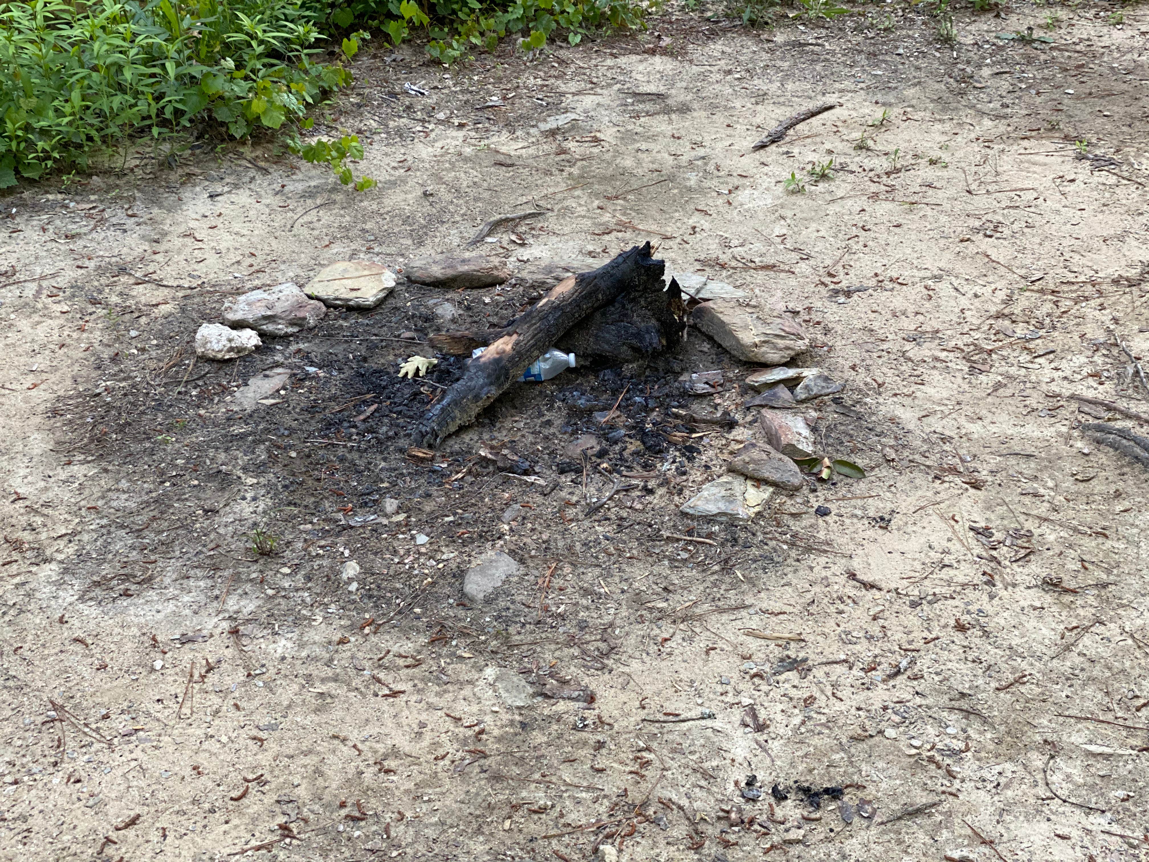 Camper-submitted photo at Riverside Skyway Loop Backcountry Site near Gurley, AL