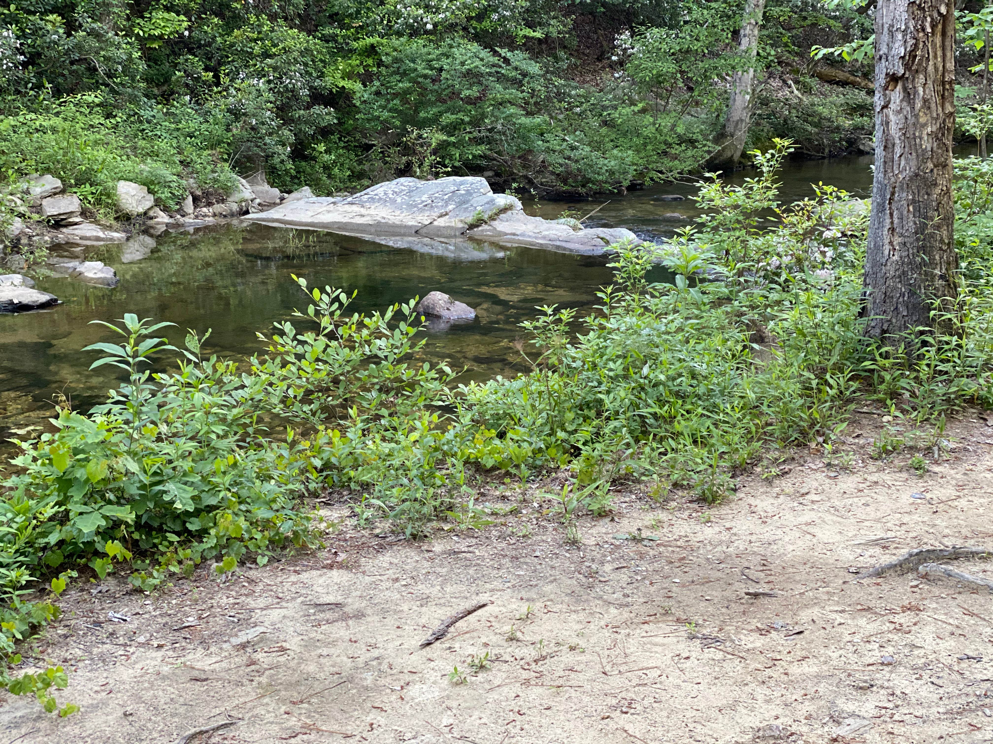 Camper-submitted photo at Riverside Skyway Loop Backcountry Site near Gurley, AL