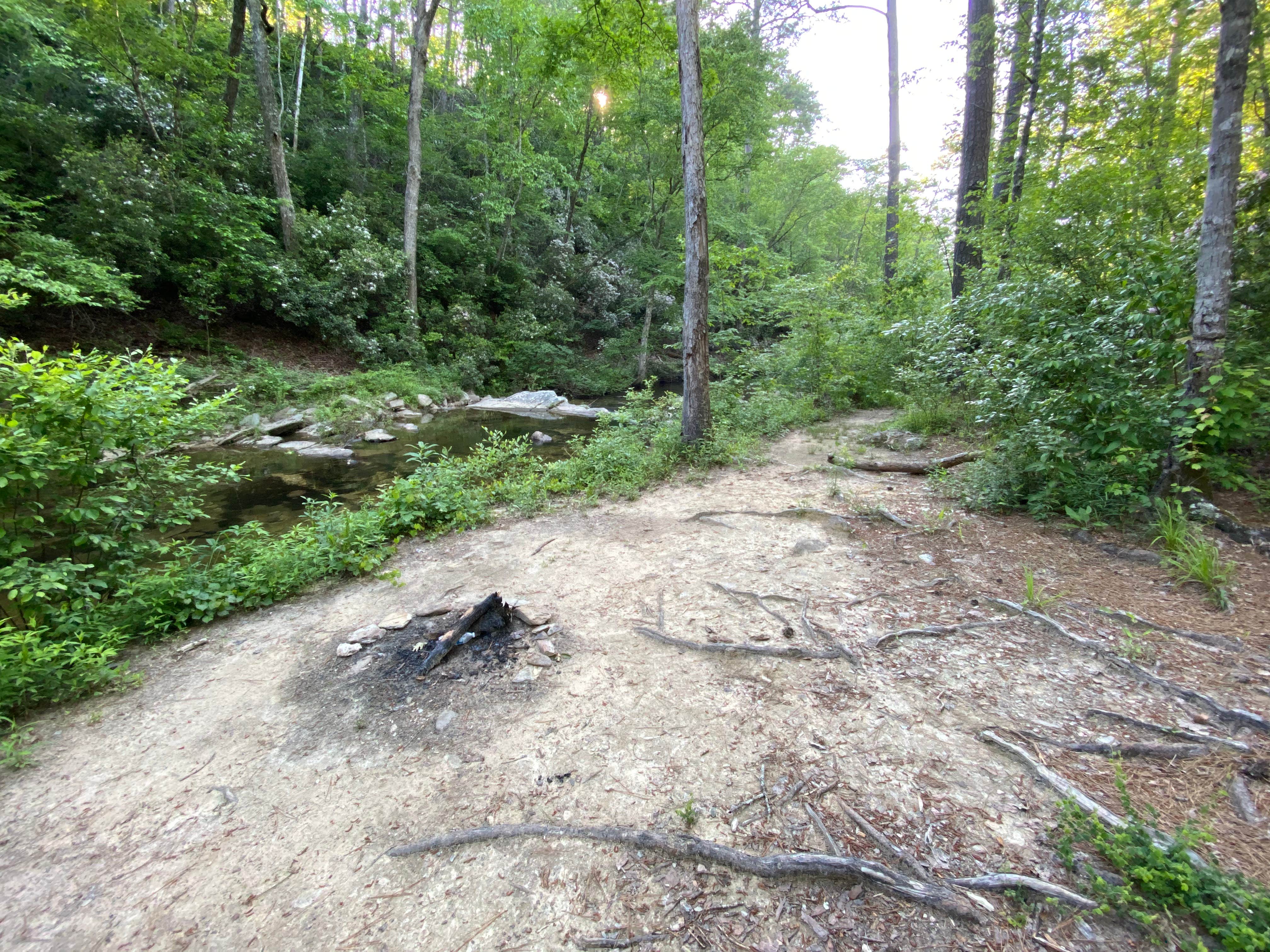 Camper-submitted photo at Riverside Skyway Loop Backcountry Site near Gurley, AL
