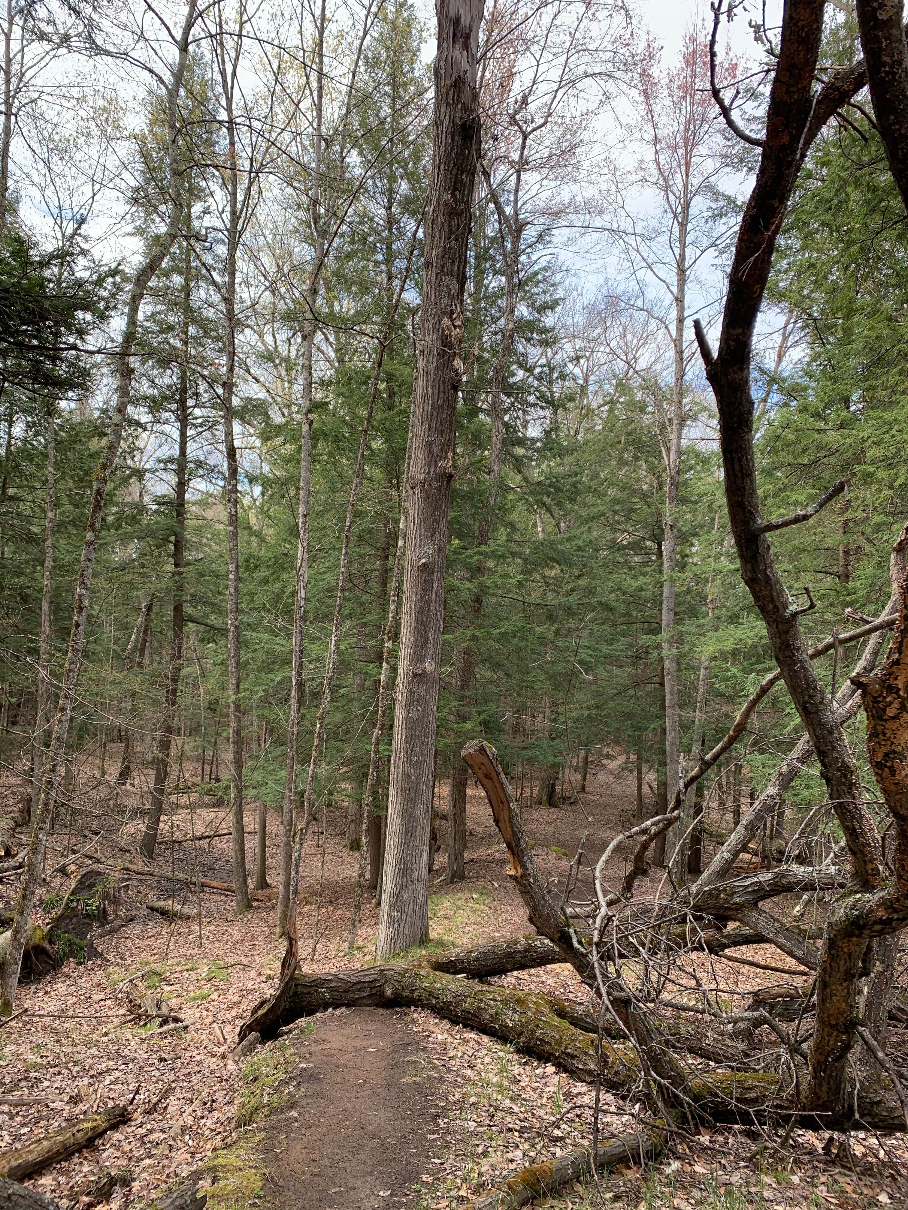 Camper-submitted photo at Sulak Campground near Custer, MI