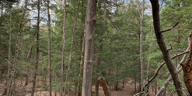 Camper submitted image from Sulak Campground