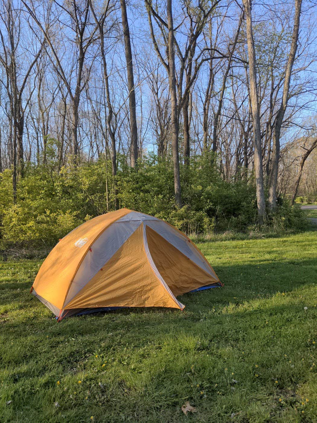 Best Camping In Delaware Lake The Dyrt