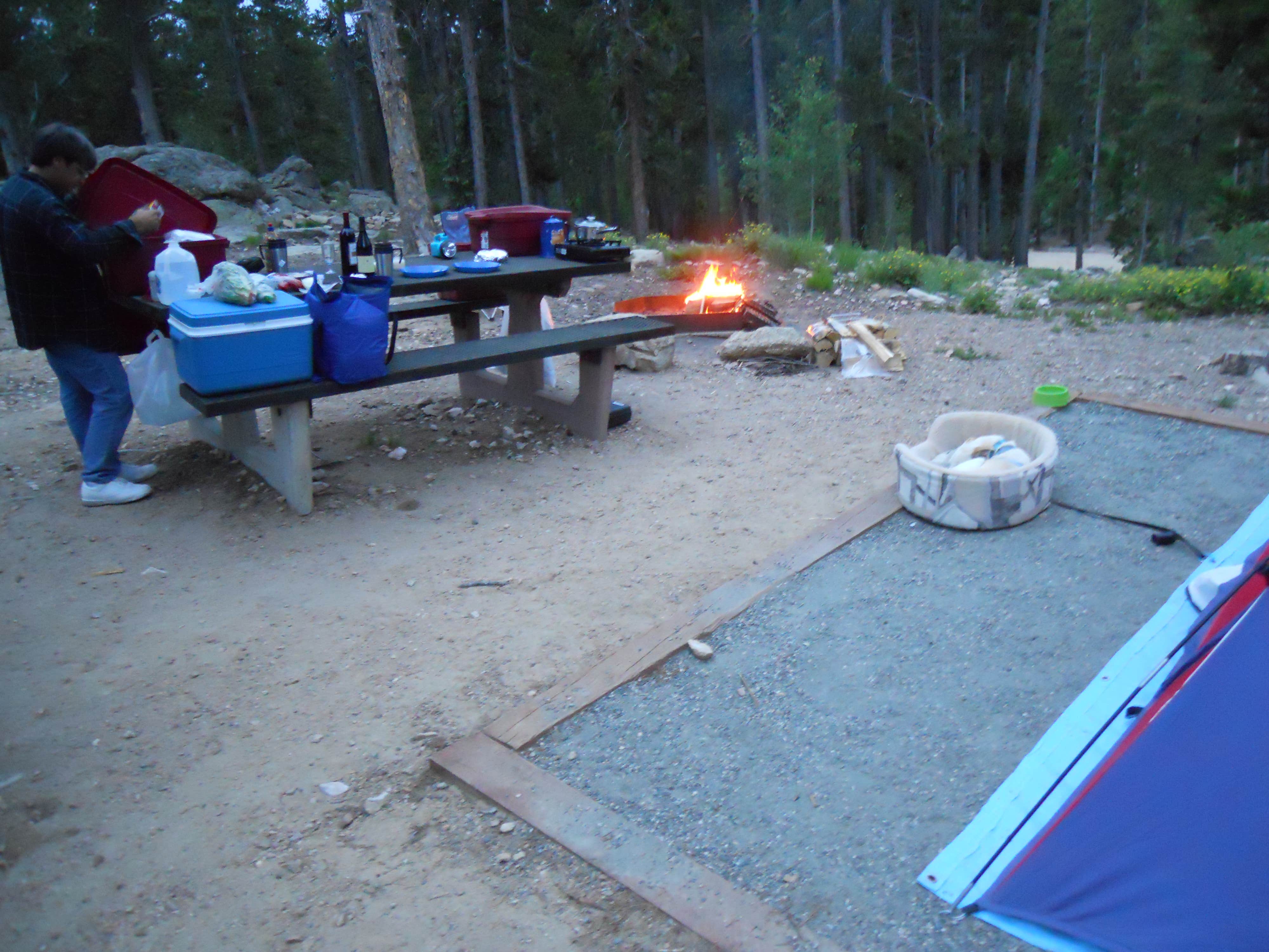 Camper submitted image from Aspen Meadows Campground — Golden Gate Canyon - 3