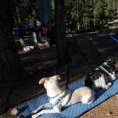 Review photo of Aspen Meadows Campground — Golden Gate Canyon by Lise F., April 30, 2021