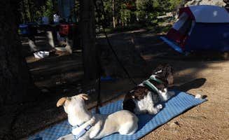 Lise F.'s photo at Aspen Meadows Campground — Golden Gate Canyon near Arvada, CO