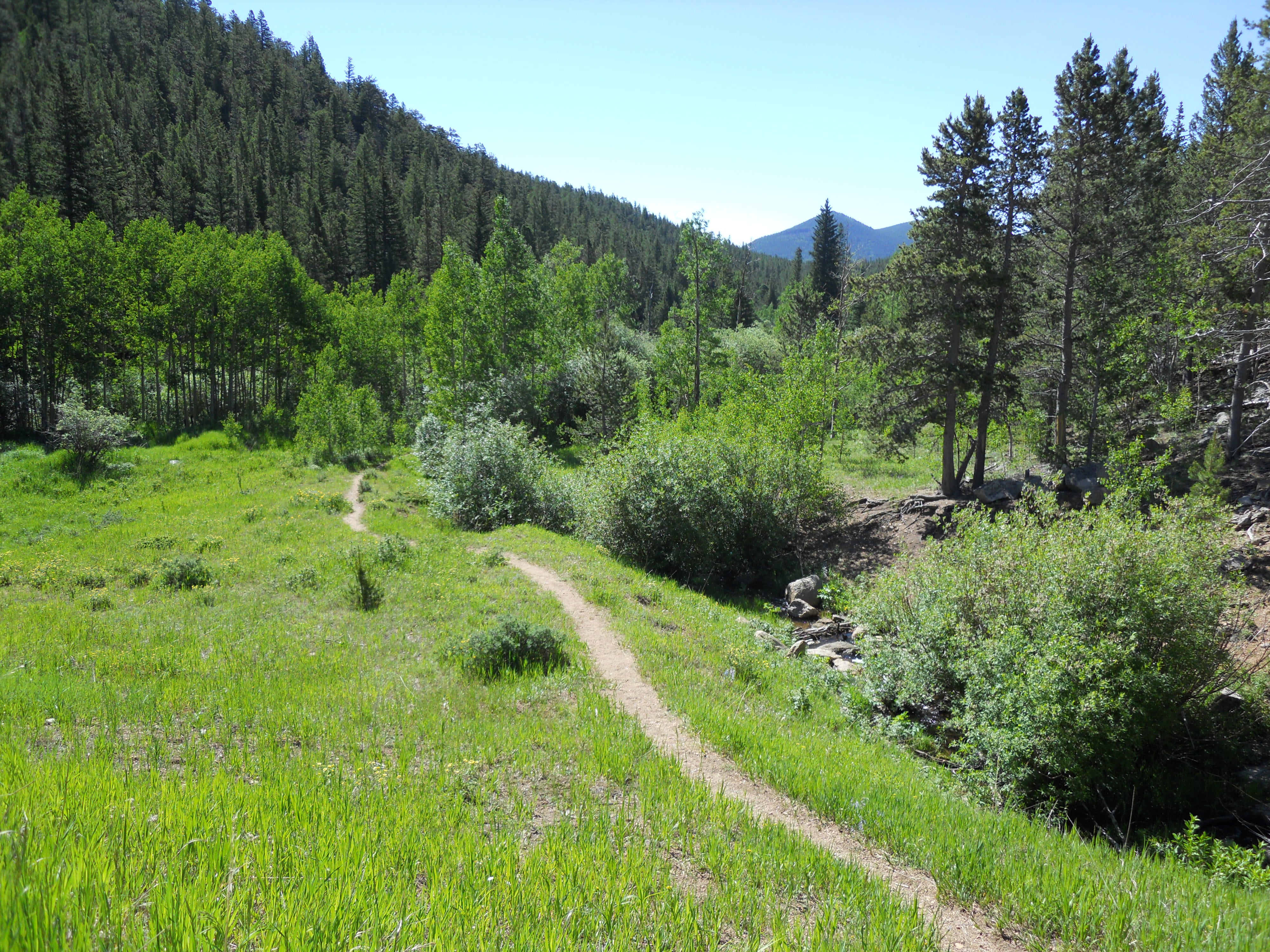 Camper submitted image from Aspen Meadows Campground — Golden Gate Canyon - 2