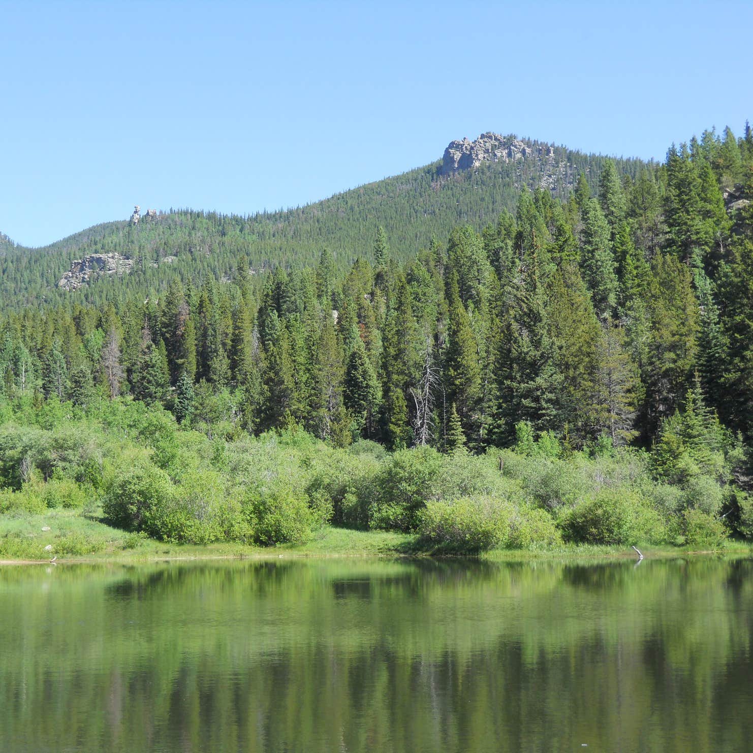 Aspen Meadows Campground - Golden Gate State Park Camping | The Dyrt