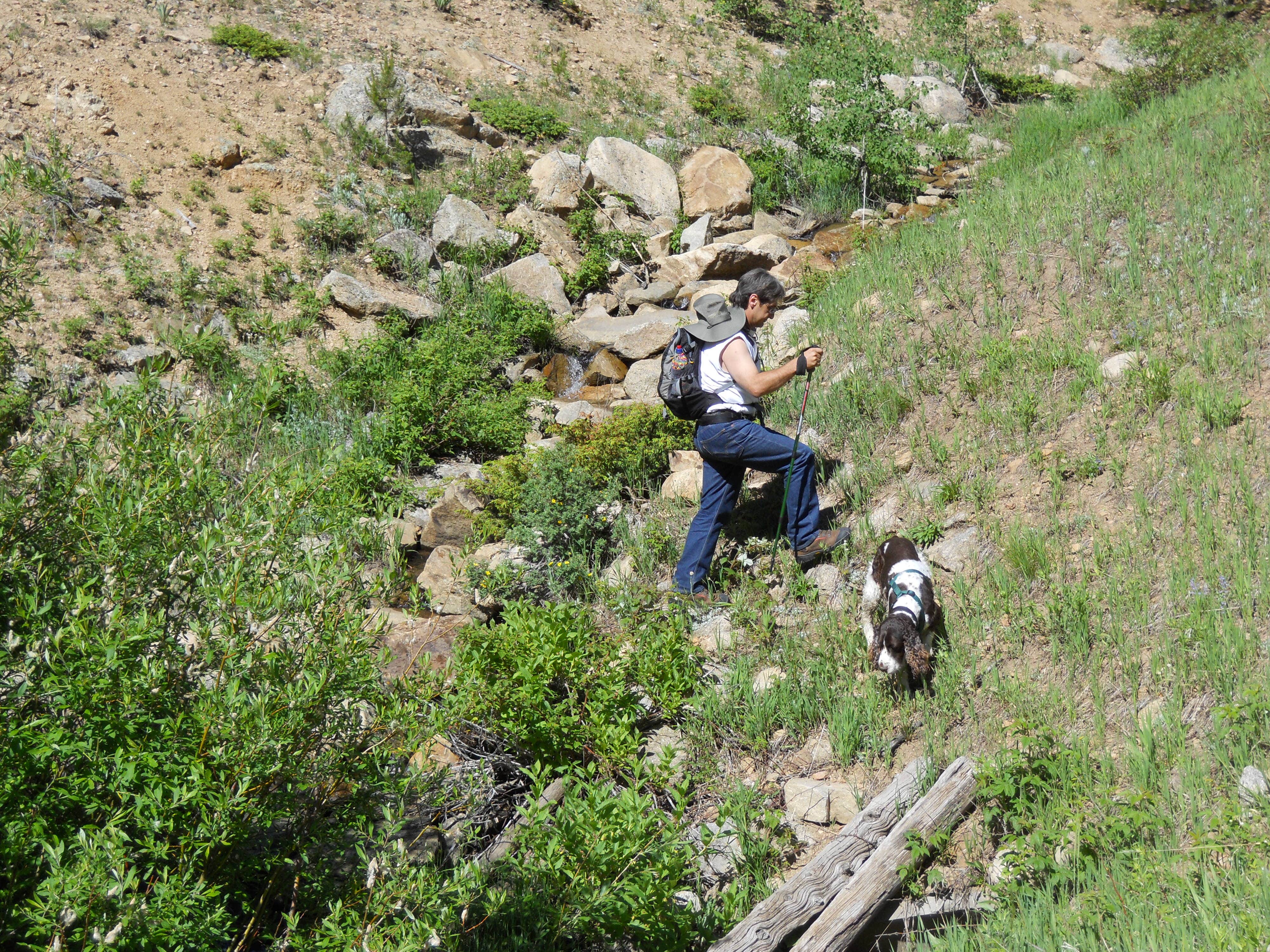 Lise F.'s photo of camping with pets at Aspen Meadows Campground — Golden Gate Canyon near Boulder, CO