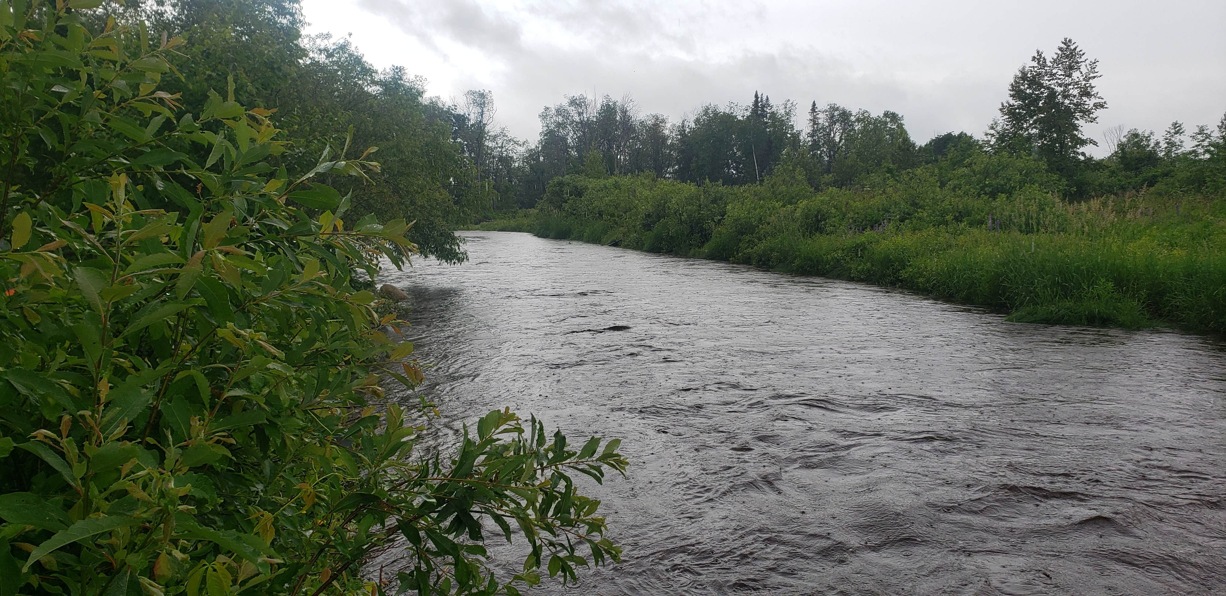 Camper-submitted photo at Israel River Campground near Berlin, NH