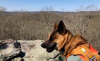 Art S.'s photo of camping with pets at Pharoah - Garden of the Gods Rec Area Campground near Henderson, KY