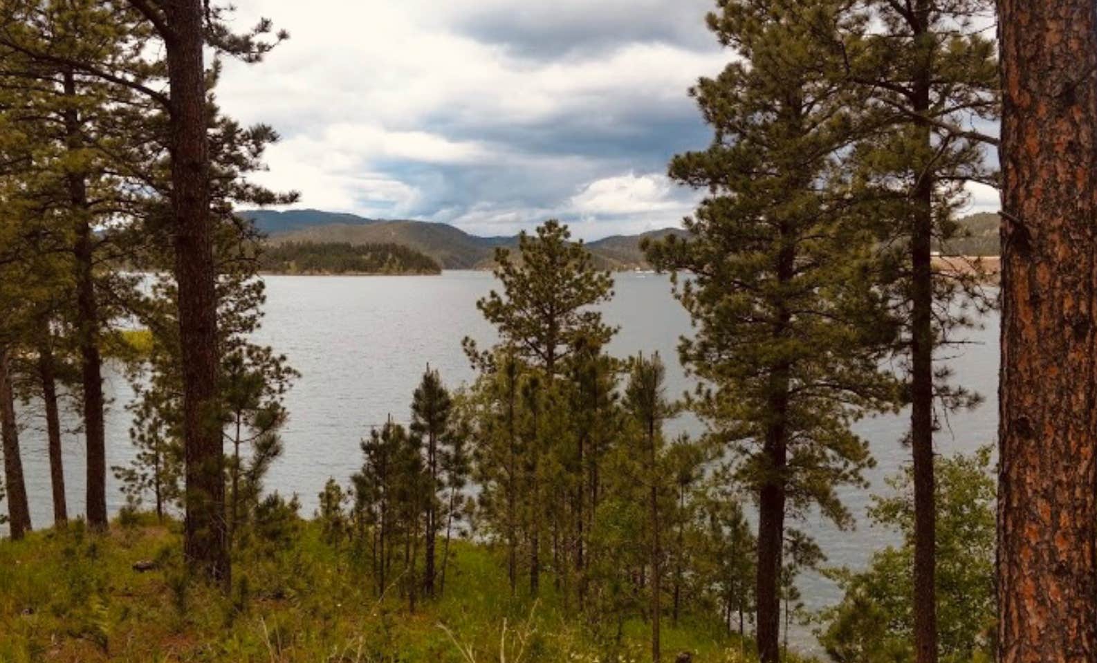 Pactola Reservoir Campground The Dyrt