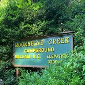 Review photo of Moonshine Creek Campground by Erica K., April 30, 2021