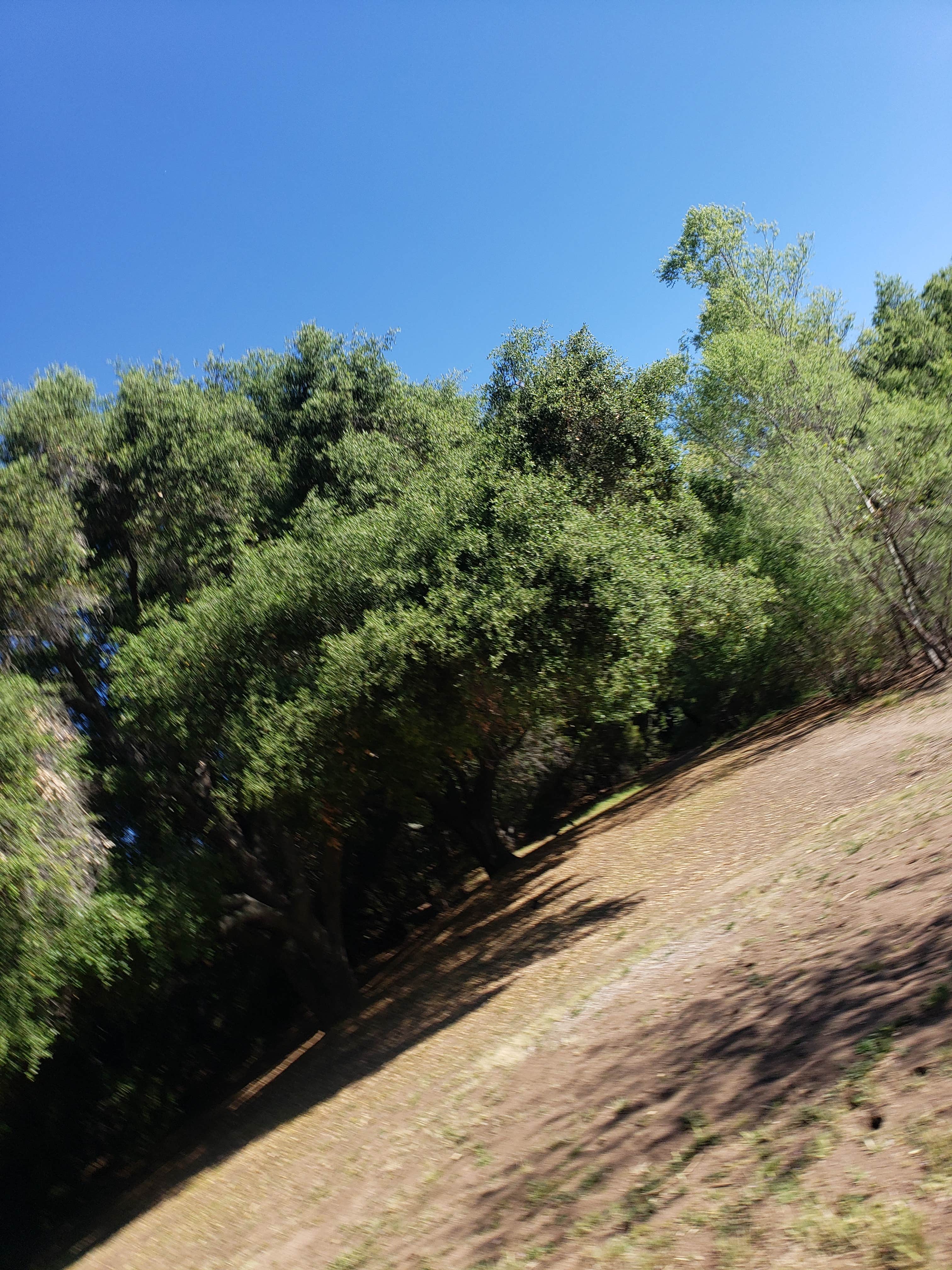 Camper-submitted photo at Dos Picos County Park near Bonita, CA