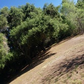 Review photo of Dos Picos County Park by 07JKRedrock S., April 30, 2021