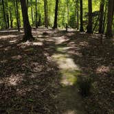 Review photo of Morrow Mountain State Park Campground by Julie L., April 30, 2021