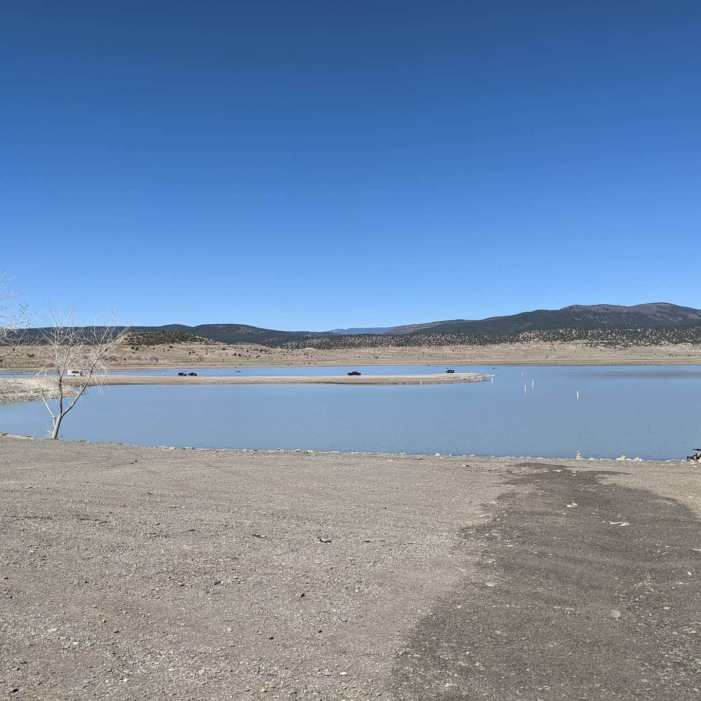 View All