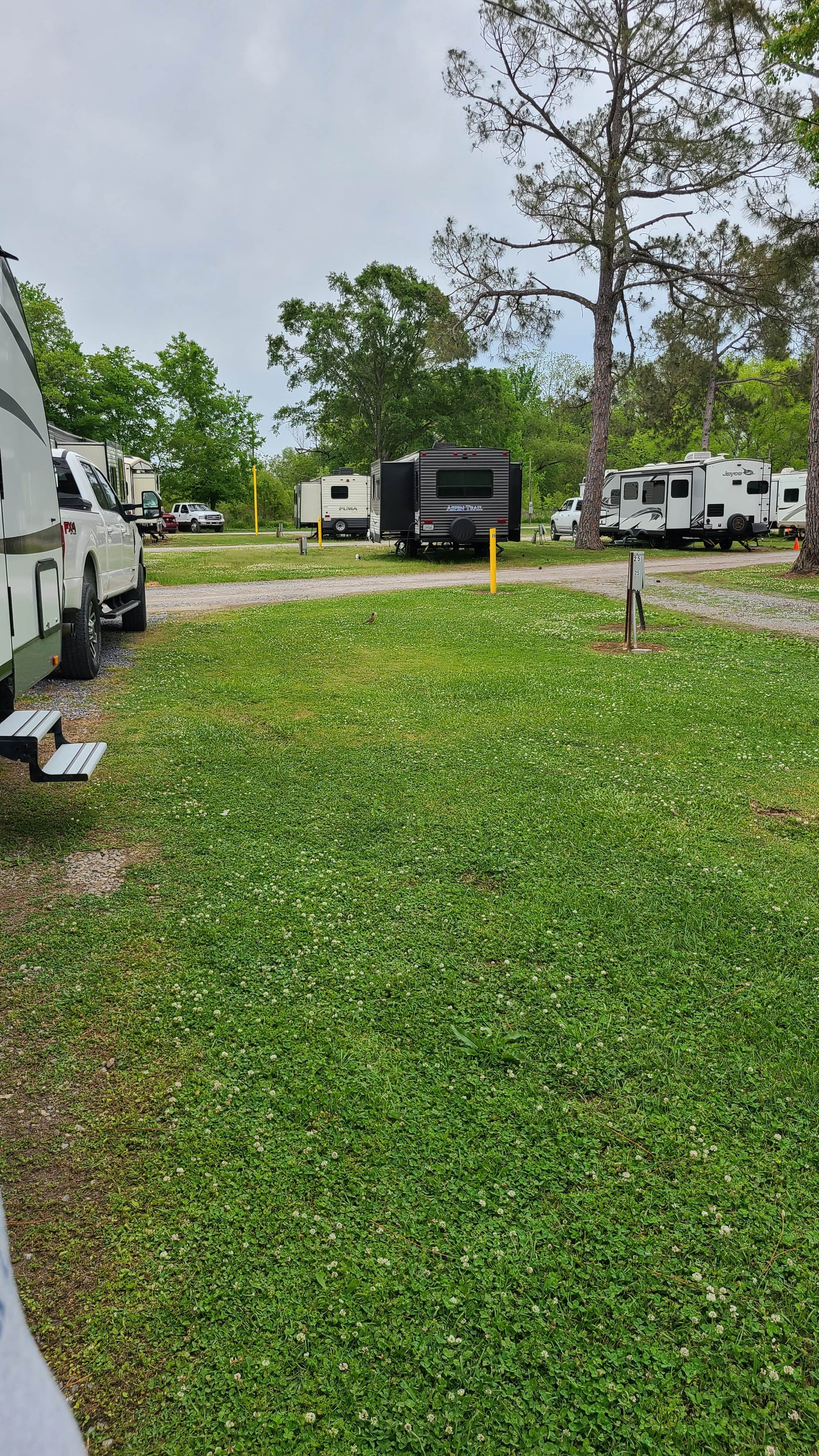 Camper-submitted photo at Ouachita RV Park near Pioneer, LA
