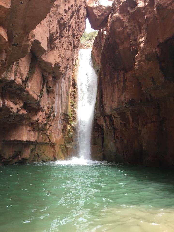 Camper-submitted photo at Second Campground near Lakeside, AZ