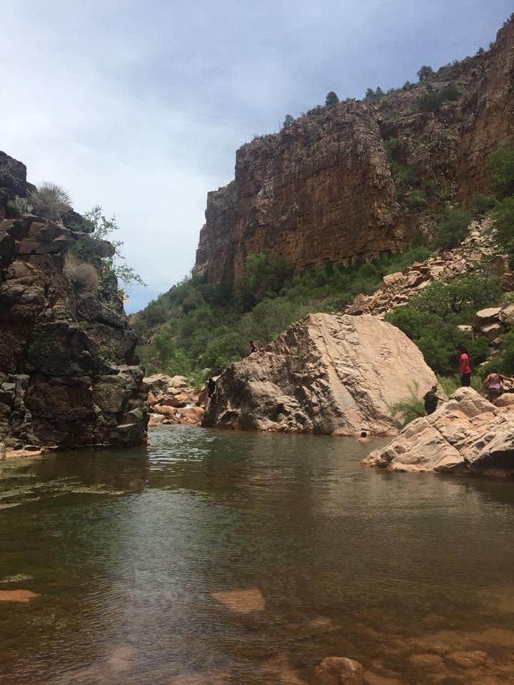Camper-submitted photo at Second Campground near Lakeside, AZ