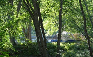 Nancy W.'s photo at Pine Grove Campground & Cottages near Stacyville, ME