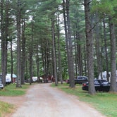 Review photo of Pine Grove Campground & Cottages by Nancy W., April 30, 2021