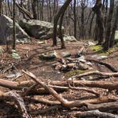 Review photo of Small Skyway Loop Campground by Asher K., June 1, 2018