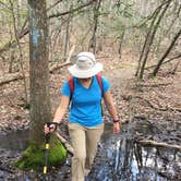 Review photo of Small Skyway Loop Campground by Asher K., June 1, 2018