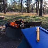 Review photo of Red Shale Campground & Geocache Site by Allyse , April 30, 2021