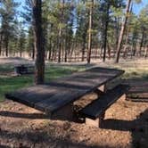 Review photo of Red Shale Campground & Geocache Site by Allyse , April 30, 2021