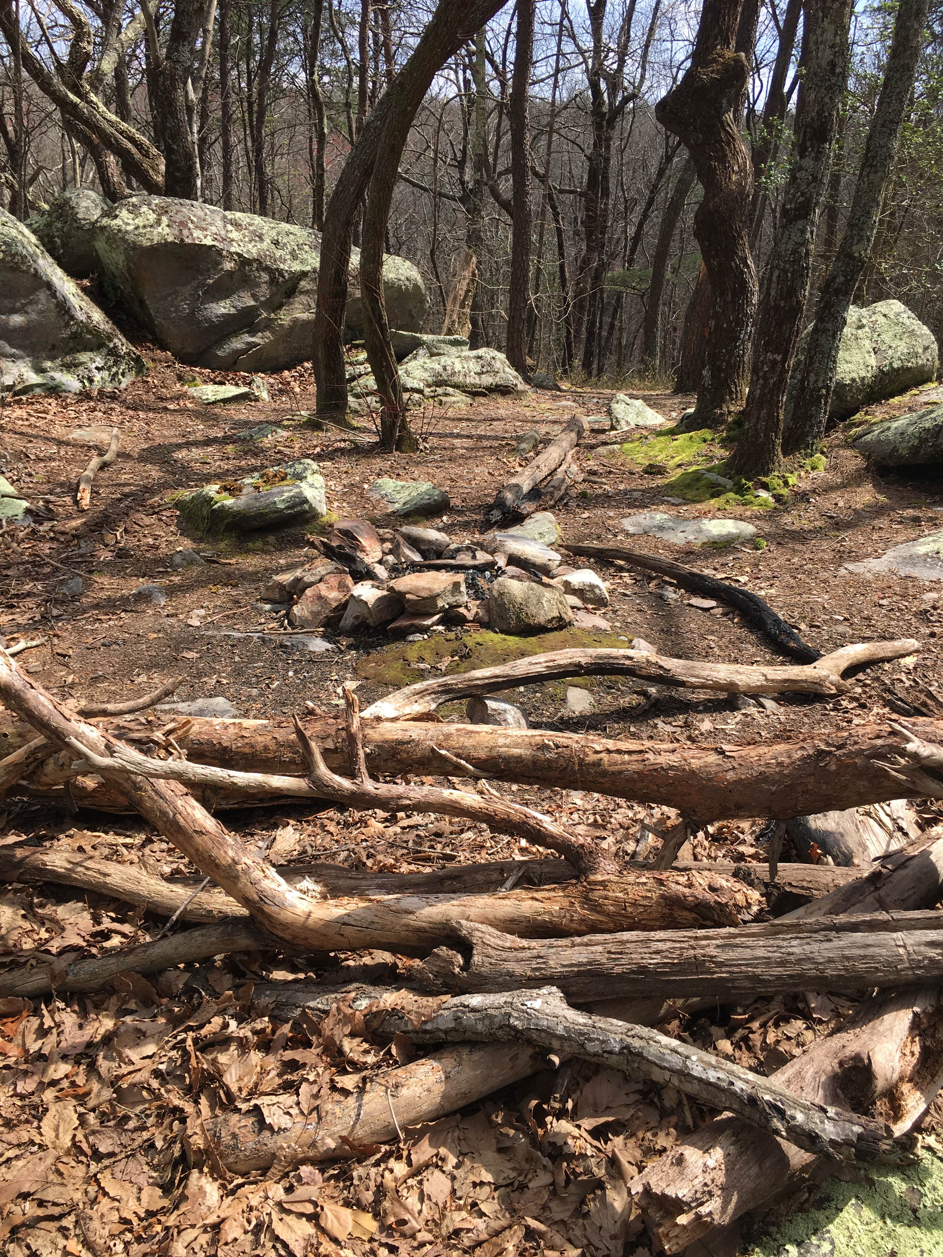 Camper-submitted photo at Small Skyway Loop Campground near Lineville, AL