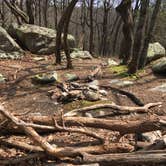 Review photo of Small Skyway Loop Campground by Asher K., June 1, 2018