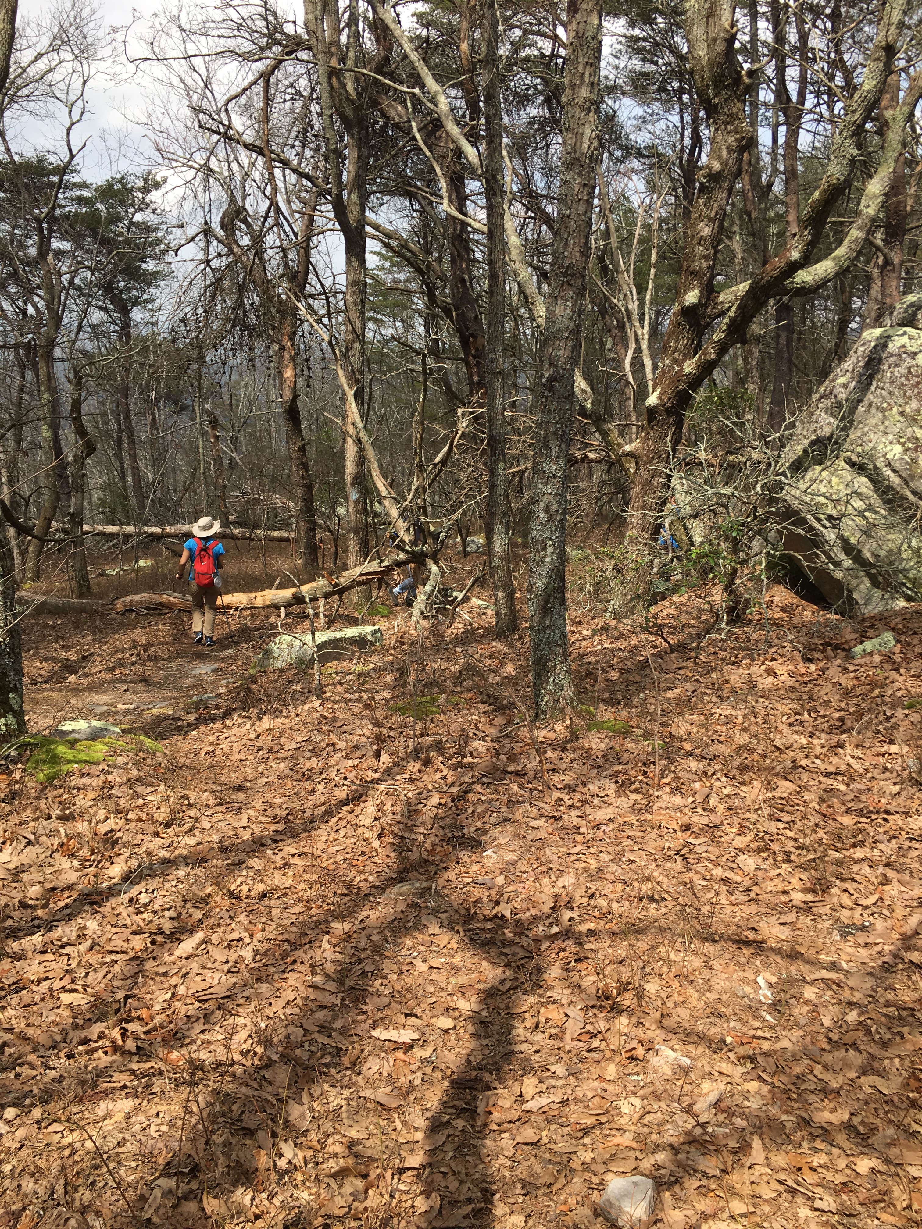 Camper-submitted photo at Small Skyway Loop Campground near Lineville, AL