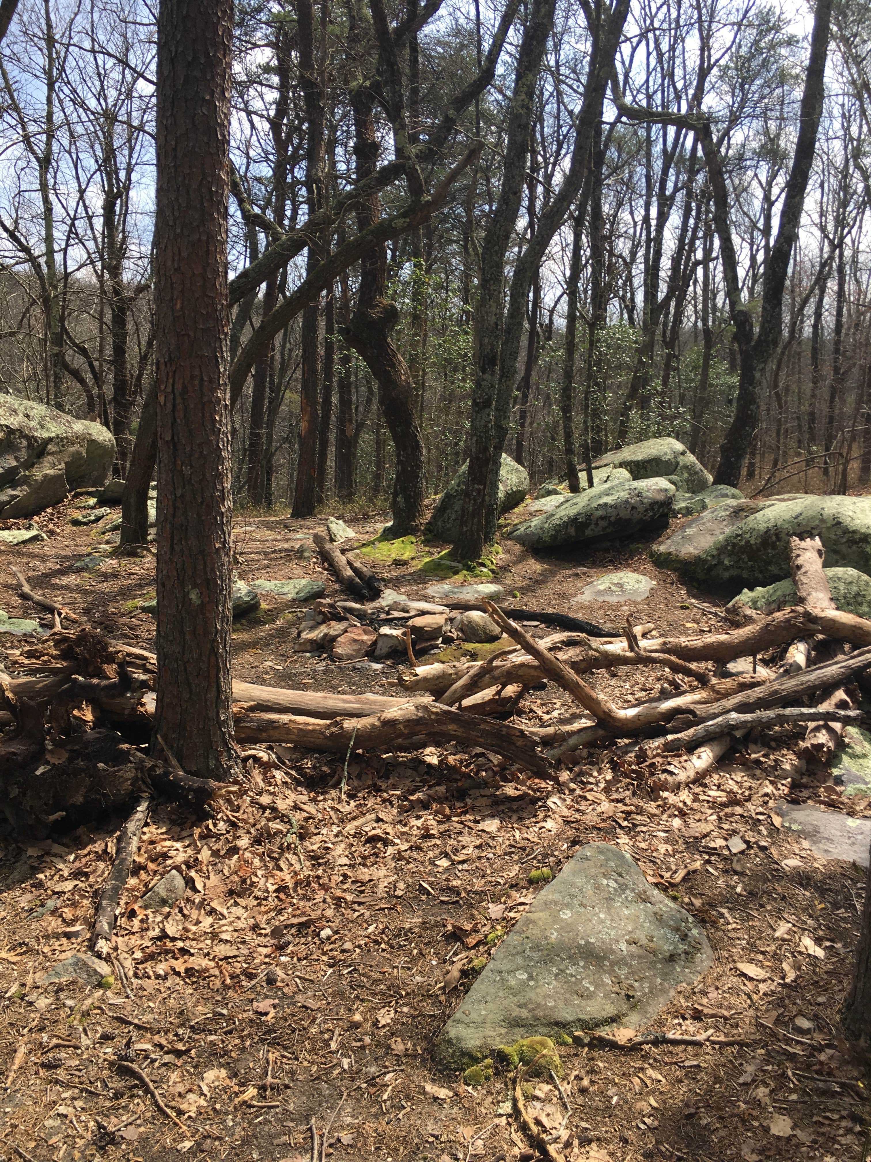Camper-submitted photo at Small Skyway Loop Campground near Lineville, AL