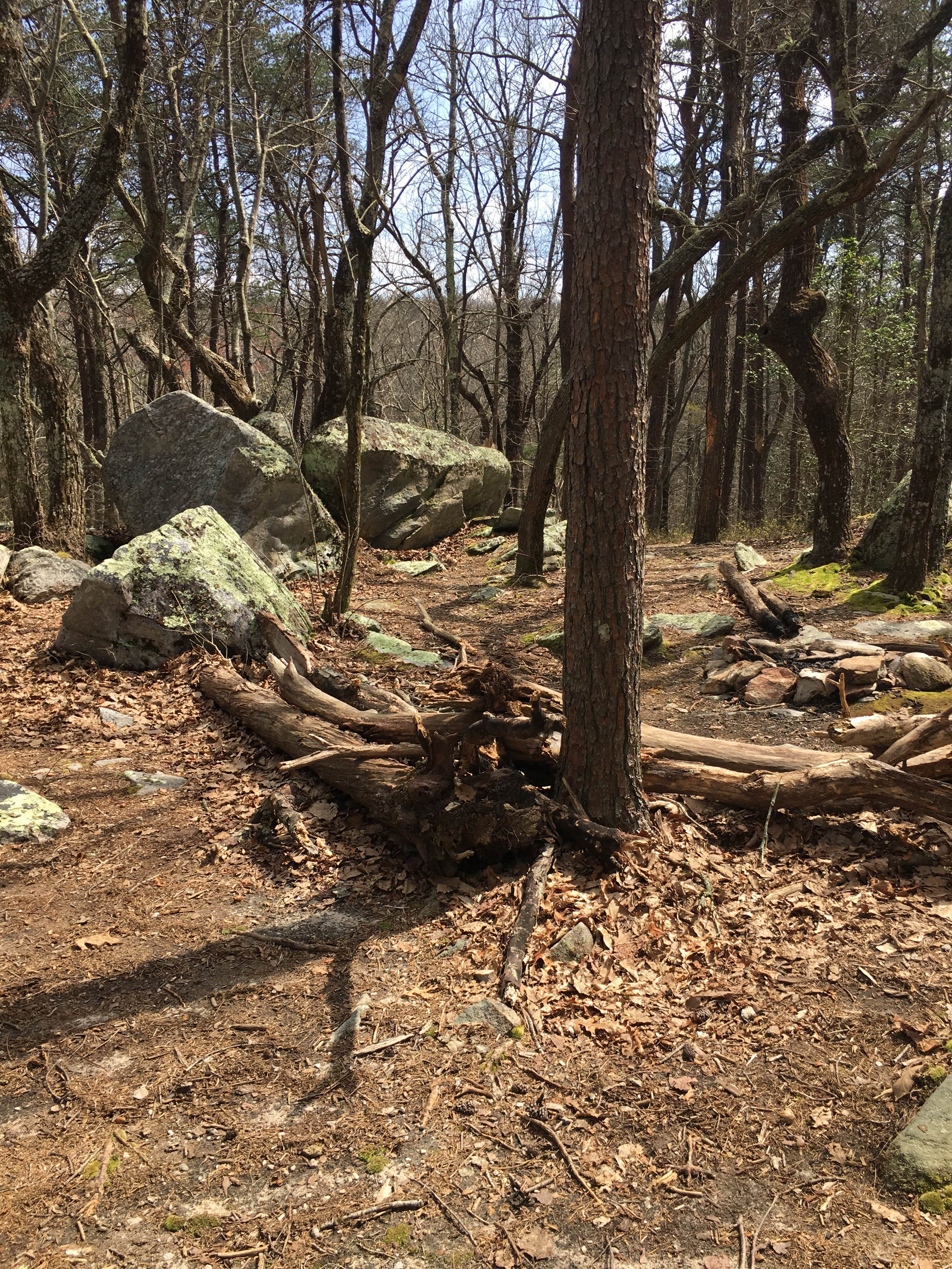 Camper-submitted photo at Small Skyway Loop Campground near Lineville, AL