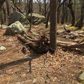 Review photo of Small Skyway Loop Campground by Asher K., June 1, 2018