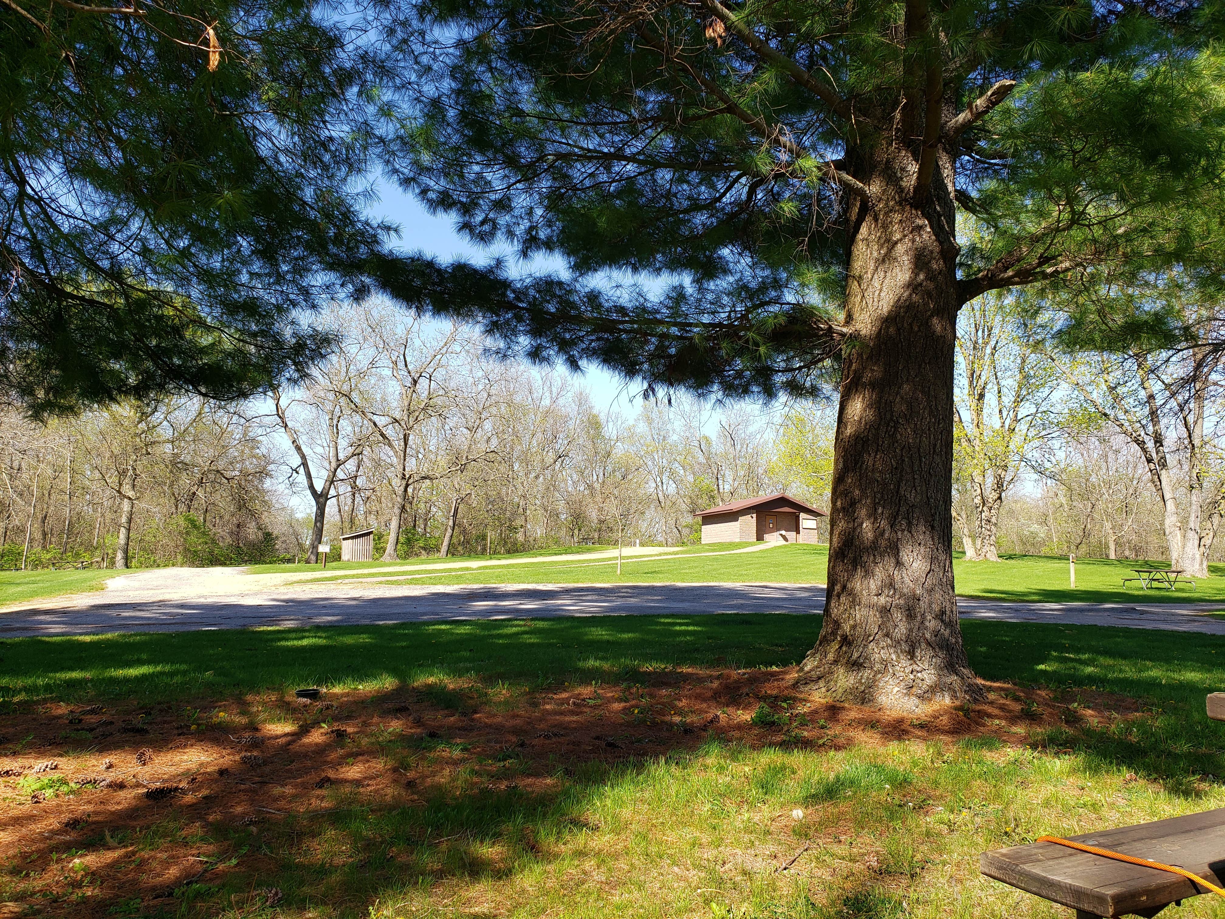 Camper submitted image from Bald Eagle Campground and Cabins - 2