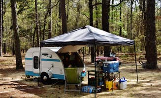 Myron C.'s photo at Cypress View Campground — Santee State Park in South Carolina