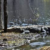 Review photo of Santee State Park--Lakeshore Campground by Myron C., April 30, 2021