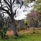 Review photo of Santee State Park--Lakeshore Campground by Myron C., April 30, 2021