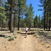 Review photo of Creekside Sisters City Park by Kayko S., July 14, 2016