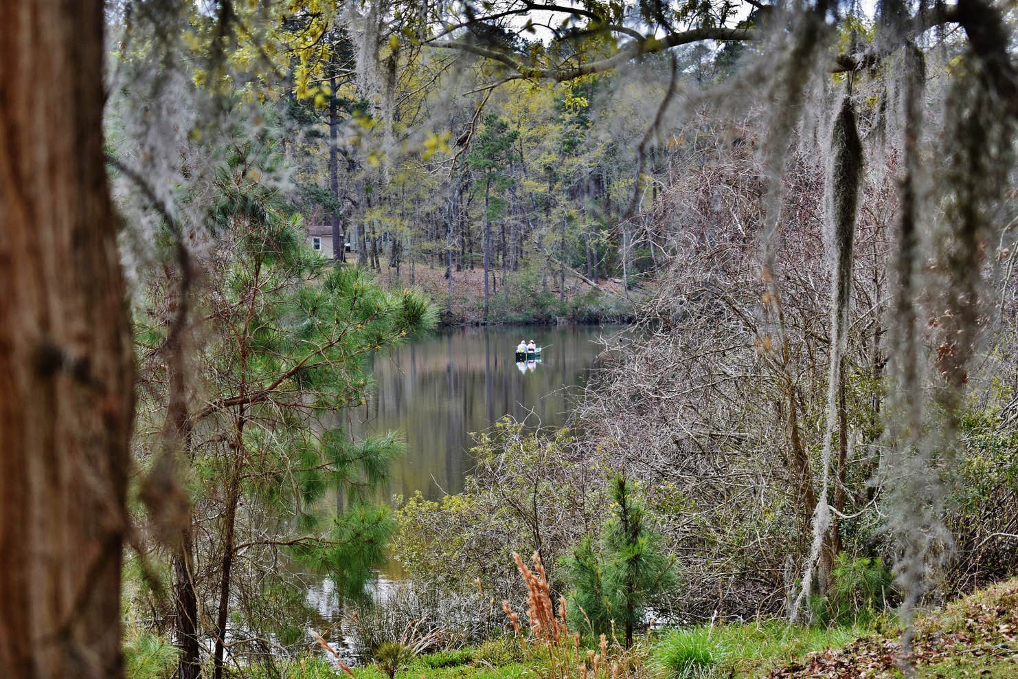 Santee State ParkLakeshore Campground The Dyrt