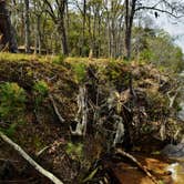 Review photo of Santee State Park--Lakeshore Campground by Myron C., April 30, 2021