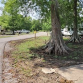 Review photo of Bayou Segnette State Park Campground by Gary P., April 30, 2021