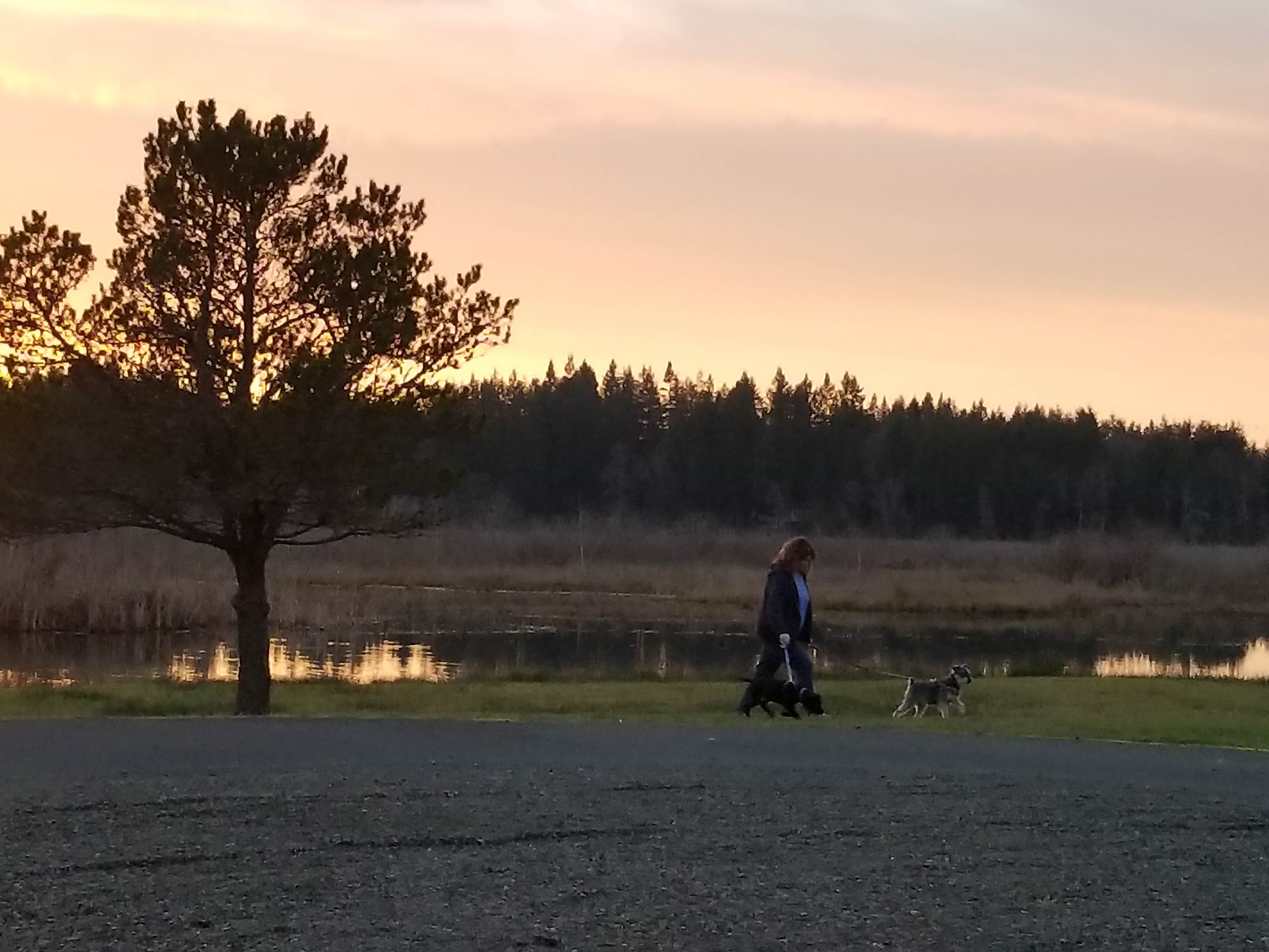 Silver Cove RV Resort ..'s photo of camping with pets at Silver Cove RV Resort near Longview, WA