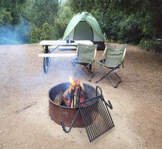 Camper-submitted photo from Culp Valley Primitive Campground — Anza-Borrego Desert State Park