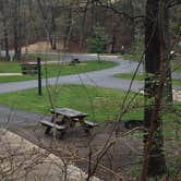 Review photo of Indiana Dunes State Park Campground by MickandKarla W., April 30, 2021