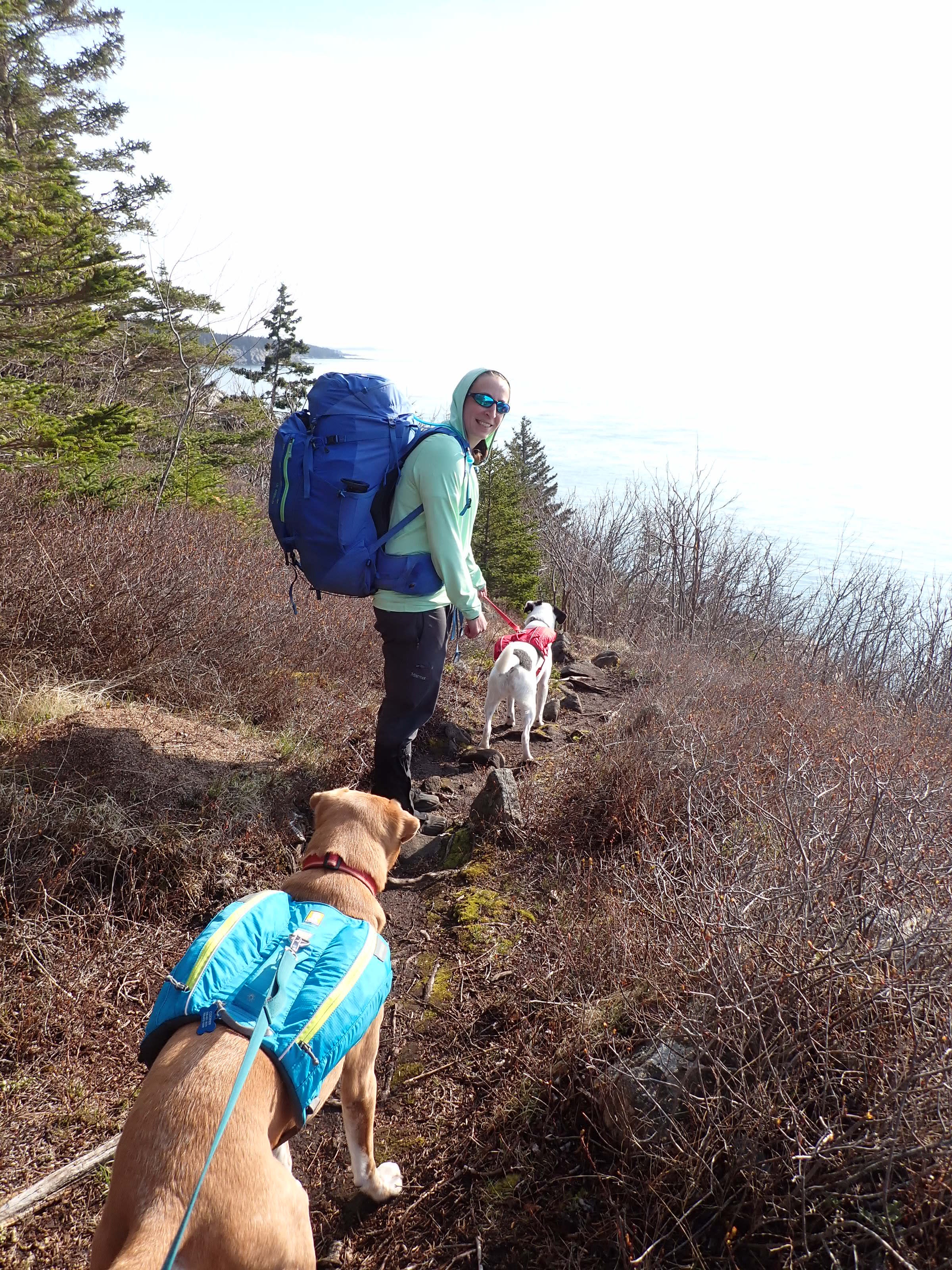 Camper submitted image from Long Point — Cutler Coast Ecological Reserve - 1