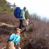 Review photo of Long Point — Cutler Coast Ecological Reserve by Sarah C., April 30, 2021