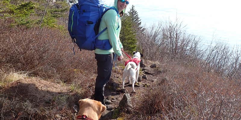 Camper submitted image from Long Point — Cutler Coast Ecological Reserve