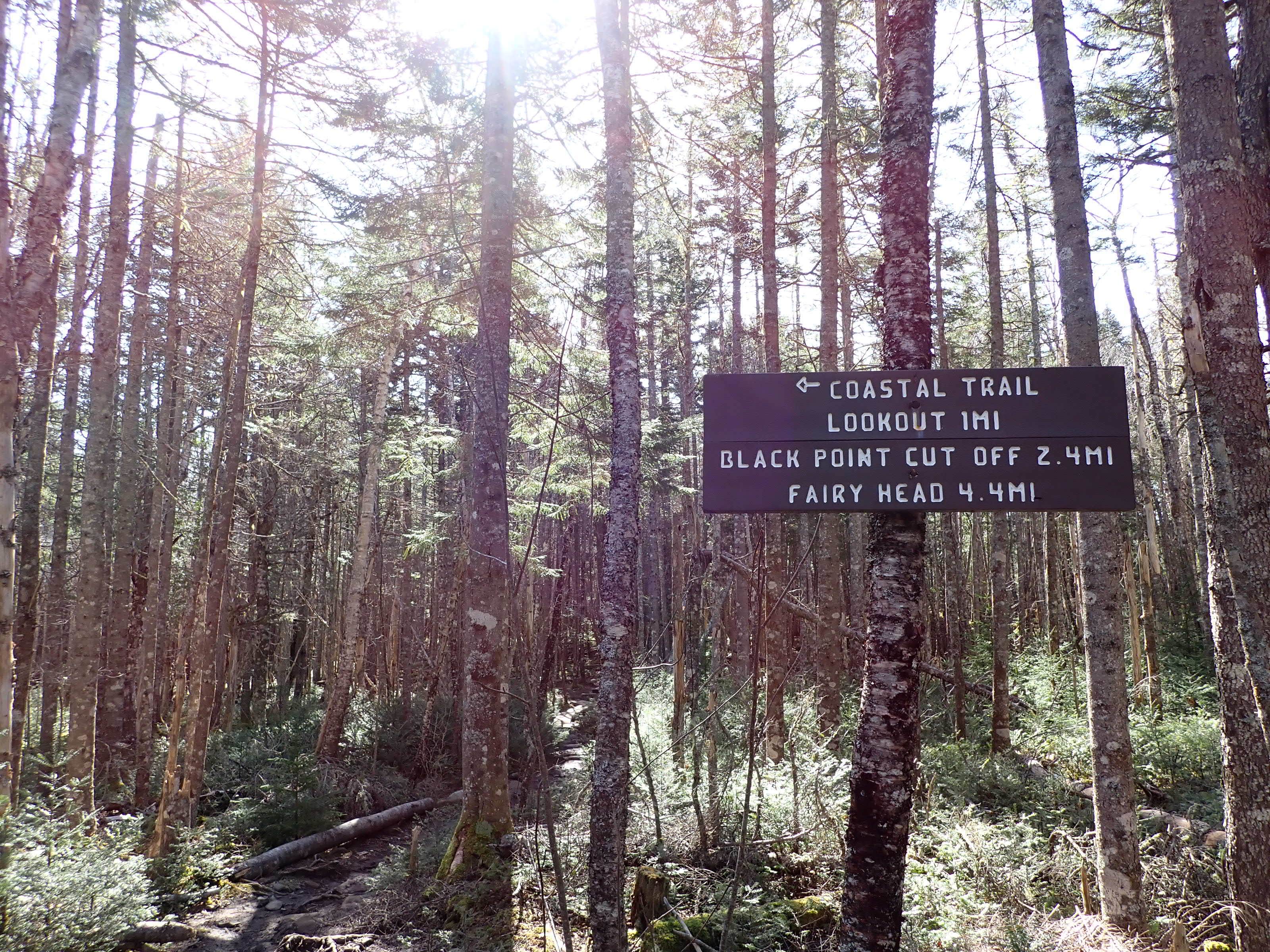 Camper-submitted photo at Long Point — Cutler Coast Ecological Reserve near Eastport, ME
